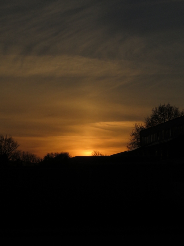 IMG_2645.JPG