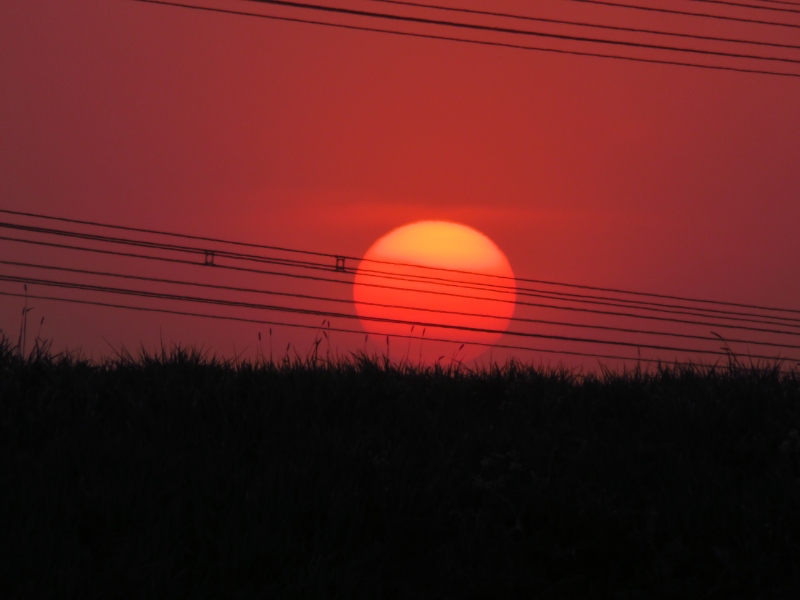 IMG_4347.JPG