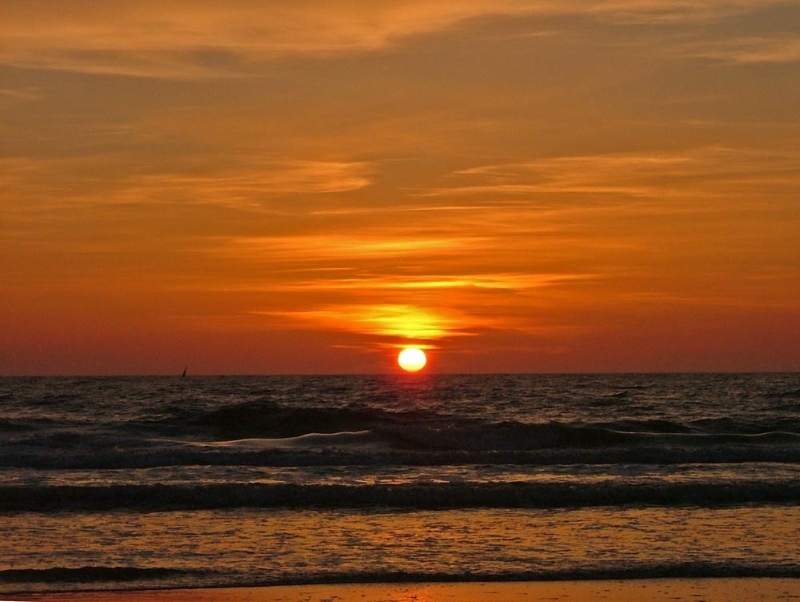 rode-horizon.jpg